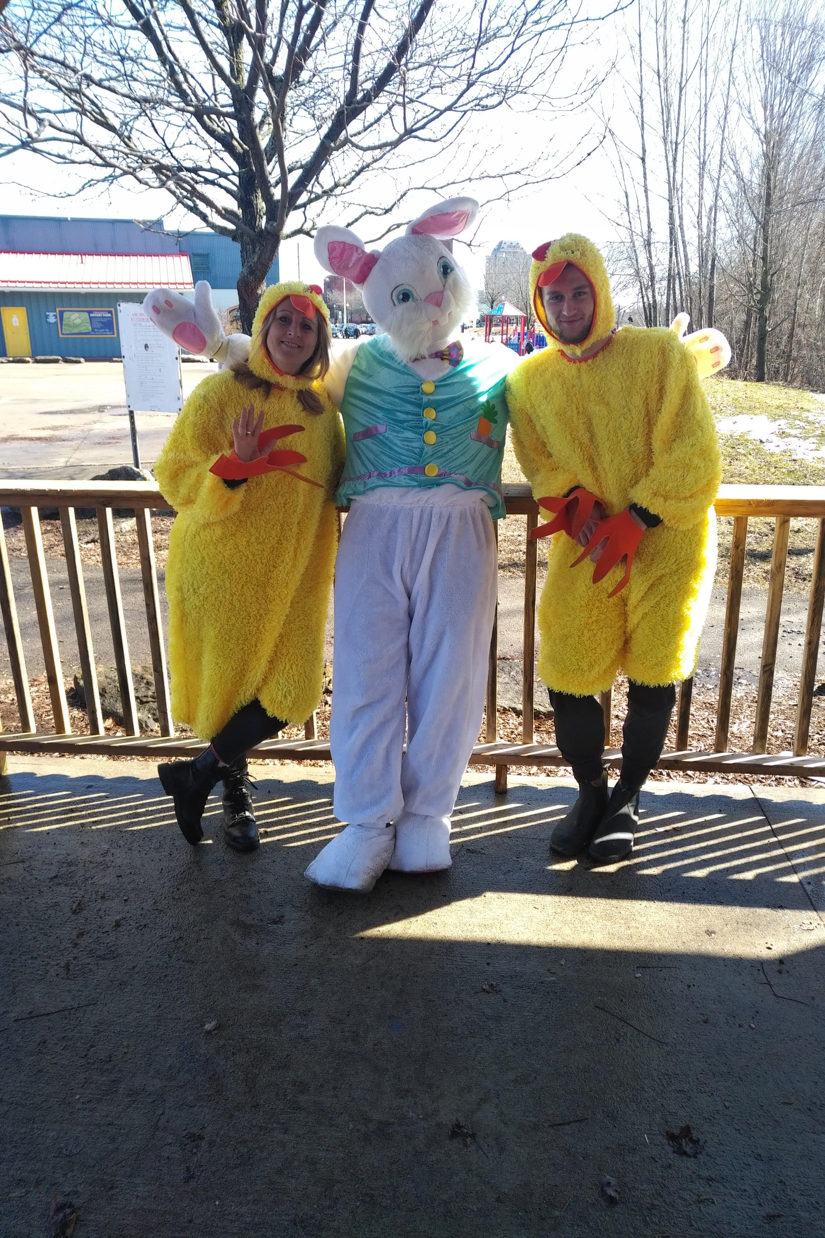 Easter Bunny and Chickens Picture